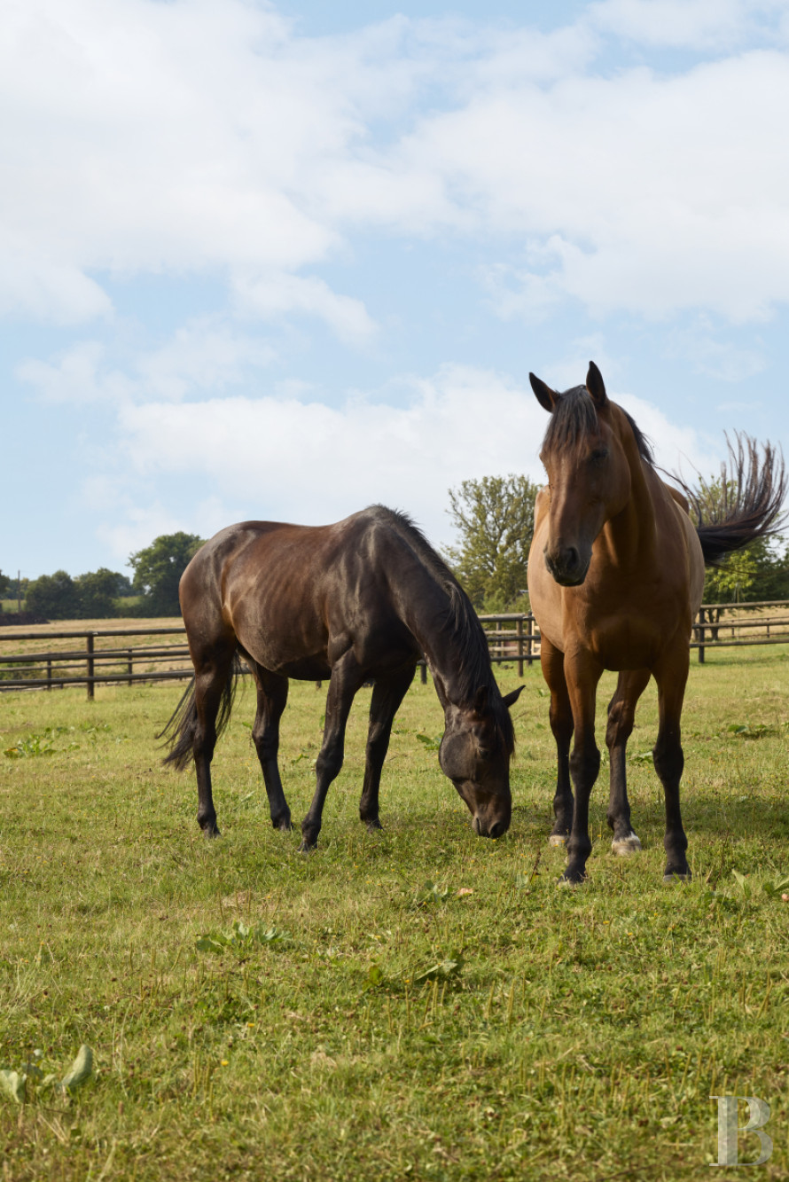 En Pays d’Auge, non loin de Lisieux, une ancienne ferme du 19e siècle transformée en paradis équestre - photo  n°21